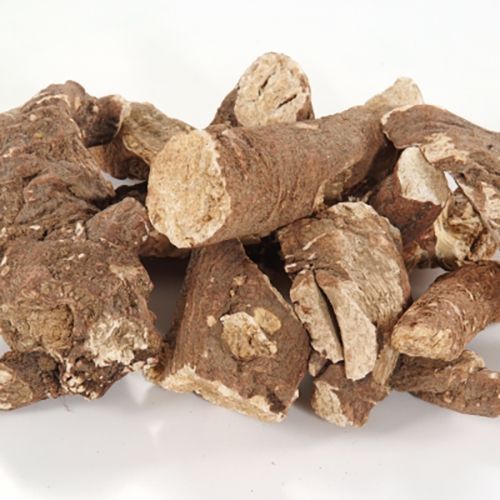 Kabuklu Çöven Kökü